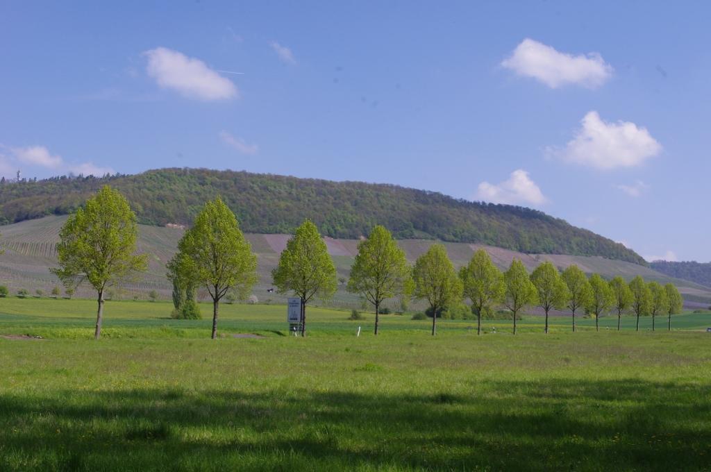 Ferienwohnung Am Henkelsee Ипхофен Экстерьер фото