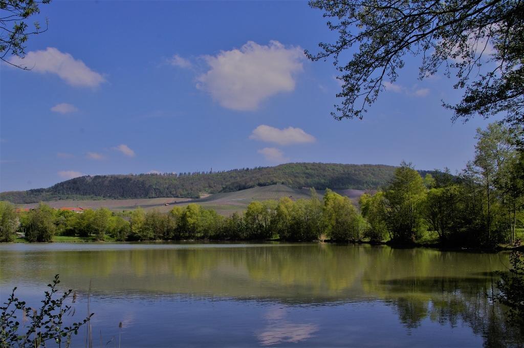 Ferienwohnung Am Henkelsee Ипхофен Экстерьер фото